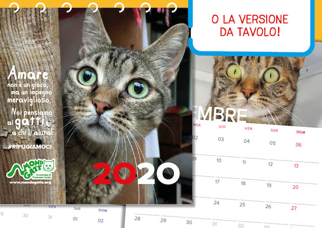 Calendario
