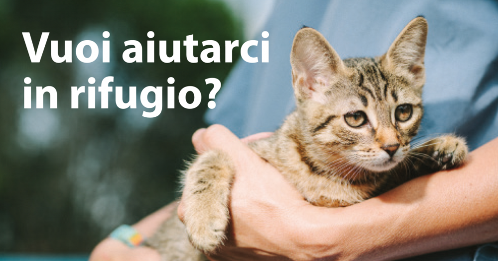 Volontariato in rifugio
