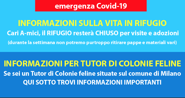 Mondo Gatto - News: Emergenza Covid-19