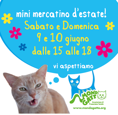 Mercatino d'estate
