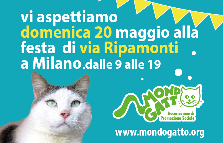 Festa via ripamonti