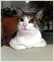 Oliver Oliver