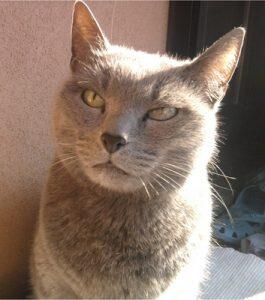 Susy Susy