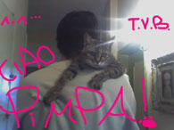 Pimpa Pimpa