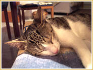 Oliver Oliver