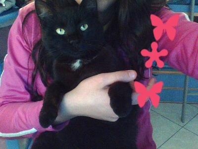 Lulù Lulù
