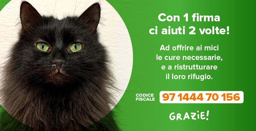 Mondo Gatto Dona Il Tuo 5x1000